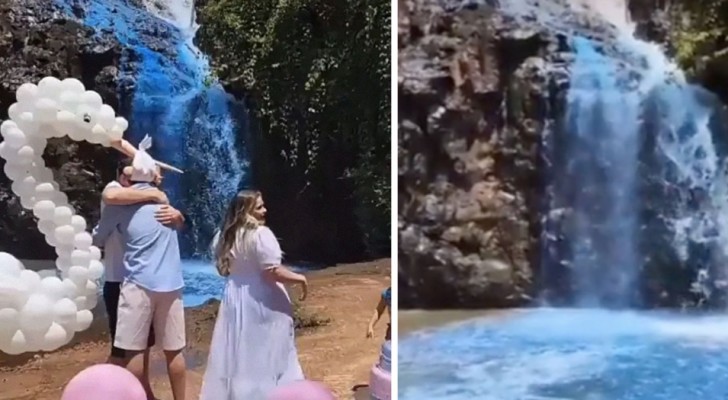 Sie beschließen, das Geschlecht ihres Sohnes zu verraten, indem sie einen echten Wasserfall einfärben: Kritik im Internet