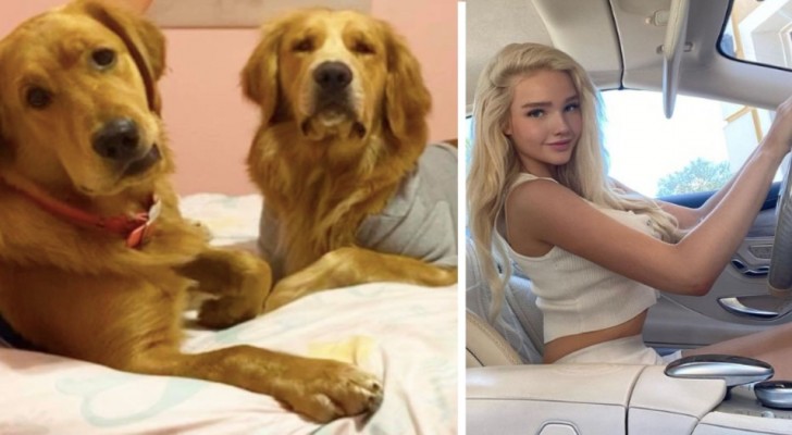 23-årig tjej körde 4000km för att köpa ett Louis Vuitton-halsband till sin hund: en kontrovers bröt ut