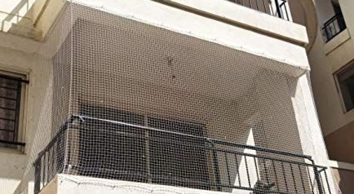 Heb je last van duiven op je balkon? Je kunt ze op afstand houden met deze DIY methodes
