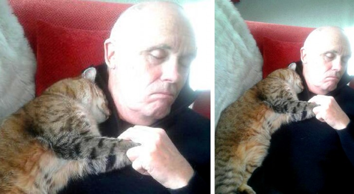 After an operation, this man takes a nap at home: when he wakes up, he finds a cat cuddling him