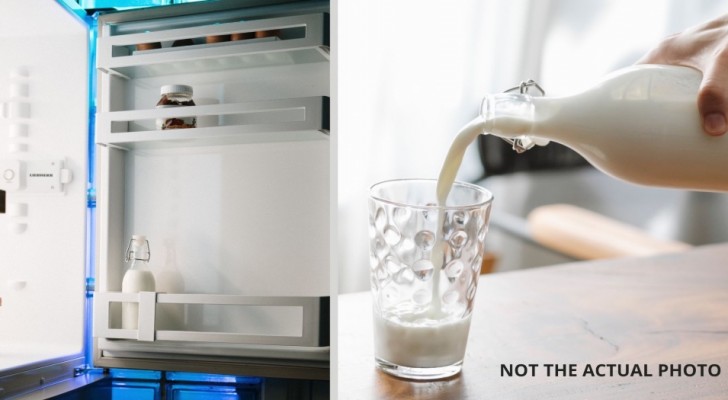 Zijn lactose-intolerante huisgenoot steelt zijn eten uit de koelkast en hij neemt wraak