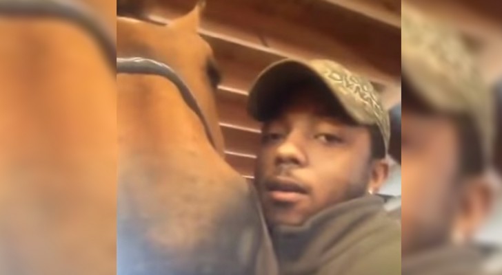 A boy gives a kiss to his horse: the reaction of the animal is sensational !