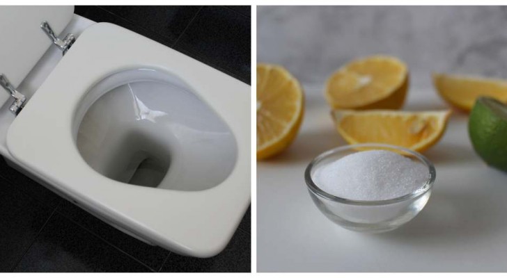 De hele badkamer ontgeuren door het toilet te parfumeren: de meest effectieve trucs en middelen