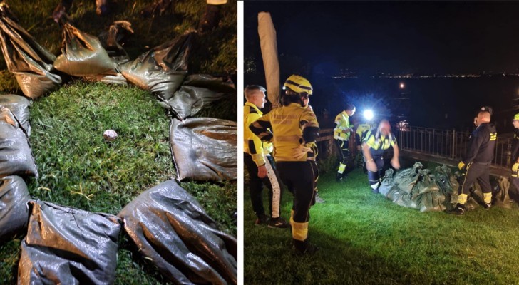 Twee kinderen geven hun grootvader een "steen" die ze hadden gevonden op het strand: het was een niet-ontplofte granaat