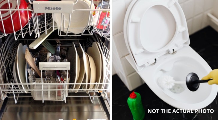 Je lave la brosse des toilettes dans le lave-vaisselle, mon invité s'est mis en colère : suis-je la seule à faire cela ?