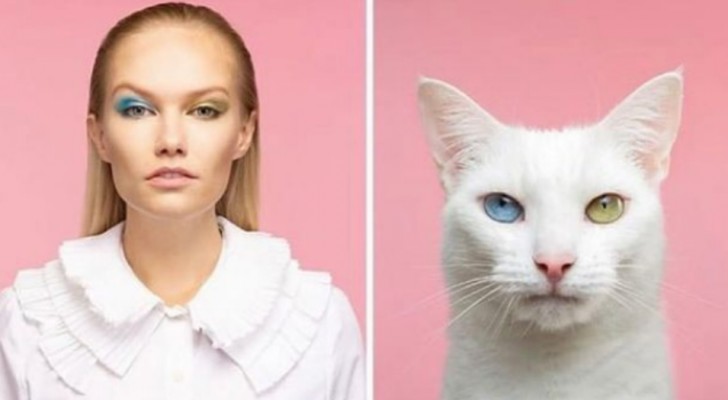20 photos de l'artiste qui photographie des personnes avec leurs animaux, mettant en évidence leur ressemblance