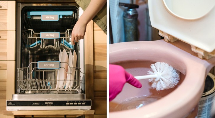 Elle lave la brosse des toilettes dans le lave-vaisselle en pensant que c'est normal : son ami est choqué