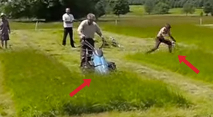 Un homme et une machine se défient pour couper l'herbe: le résultat final vous surprendra!