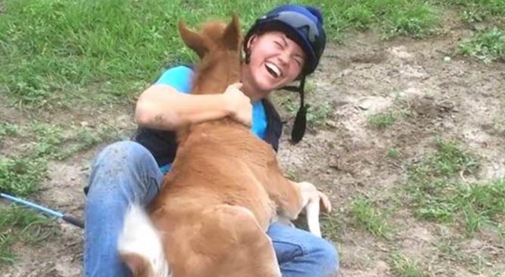 Una ragazza si avvicina a un cucciolo di cavallo e lui la accoglie in modo travolgente!