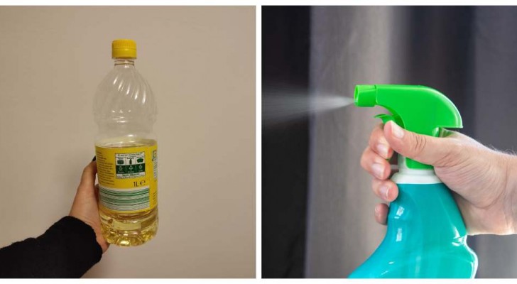 Multifunctioneel schoonmaakmiddel op basis van azijn: je kunt het zelf maken en op vele manieren gebruiken