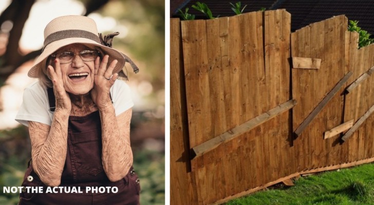Un voisin construit une clôture de 2 mètres qui la prive de lumière : "Je n'en peux plus"