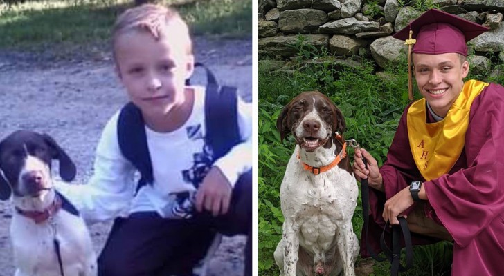 Cachorro acompanha seu melhor amigo desde o primeiro dia de aula até a formatura no ensino médio