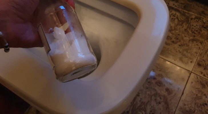 Maïszetmeel voor het schoonmaken van het toilet: een zelfgemaakt alternatief om altijd bij de hand te hebben