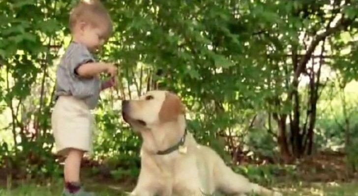 Onvoorstelbaar wat dit kind allemaal met zijn hond doet! 