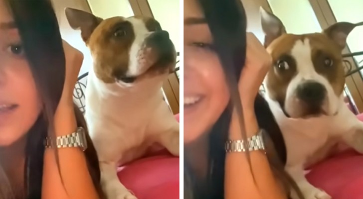 Hon ringer ett låtsassamtal där hon säger alla sin hunds favoritord (+VIDEO)