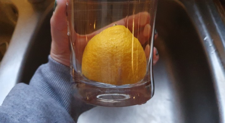 De bästa sätten för att få citronerna att hålla sig färska under lång tid