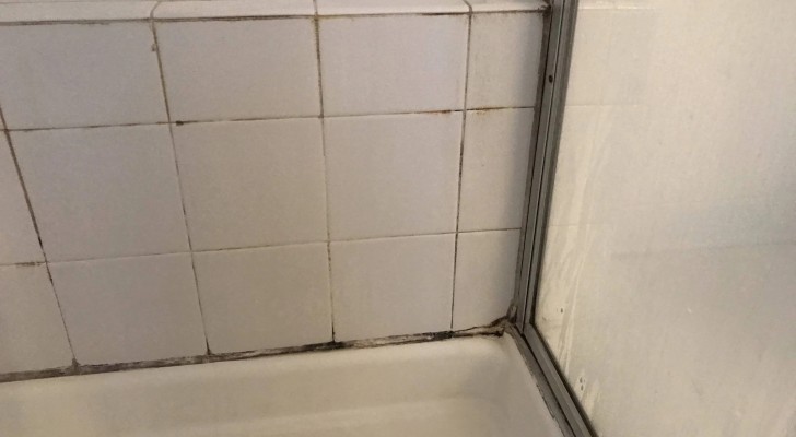 Hoe verwijder je schimmel uit de badkamer met eenvoudige en effectieve methoden