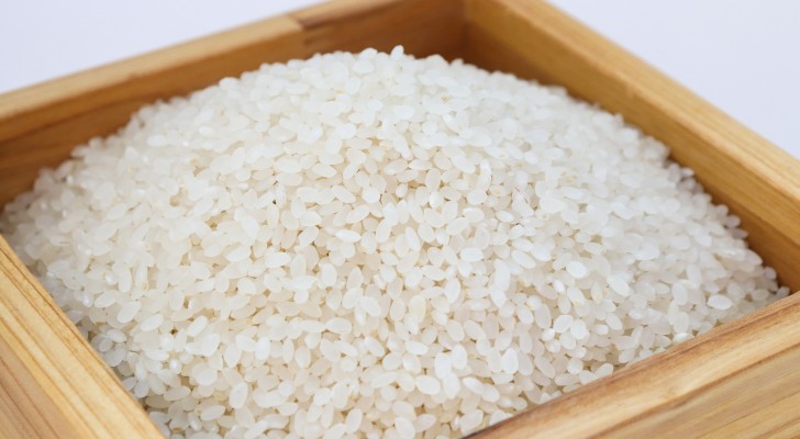 Rijst en zijn vele eigenschappen: ontdek op hoeveel manieren het van pas kan komen in huis