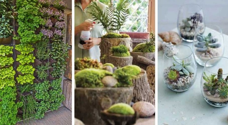 Minituinen in huis: 12 ideeën voor het inrichten van interieurs met planten zonder ruimte in te nemen