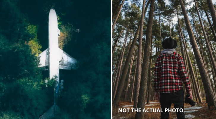 Leben in einem Flugzeug im Wald: 