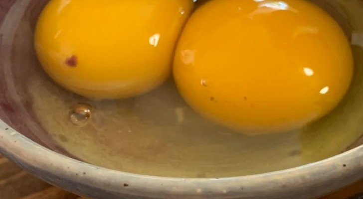 Rode of bruine vlekken in eieren? Dat is wat het is