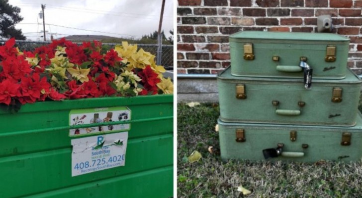 Les choses à ne pas jeter : 16 objets récupérés dans les poubelles qui peuvent encore être utiles