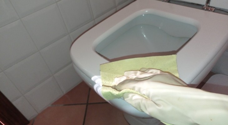 Wie man gelbe Flecken vom Toilettensitz und -deckel entfernt