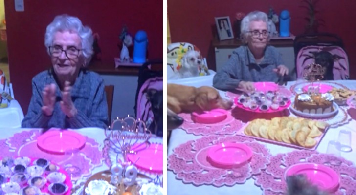 Elderly woman celebrates her 89th birthday surrounded by the affection of her 10 dogs
