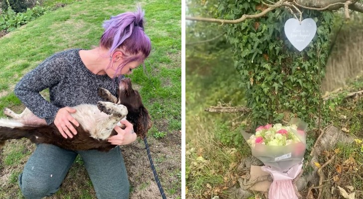 Woman gives her dog a funeral: the next day, the animal is spotted in the street