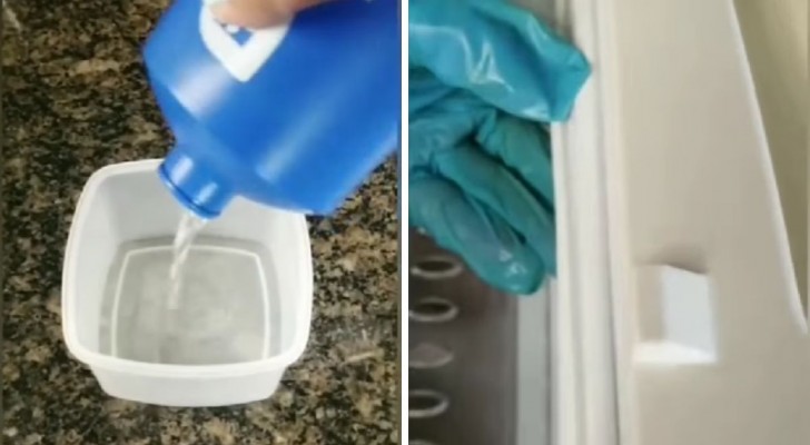 Fai sparire la muffa e lo sporco dalle guarnizioni del frigorifero con un semplice rimedio casalingo
