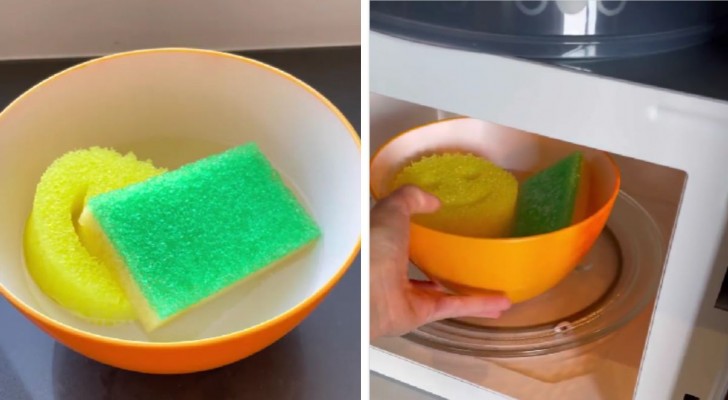 Igienizza le spugnette dei piatti col microonde: ci vogliono solo 3 minuti