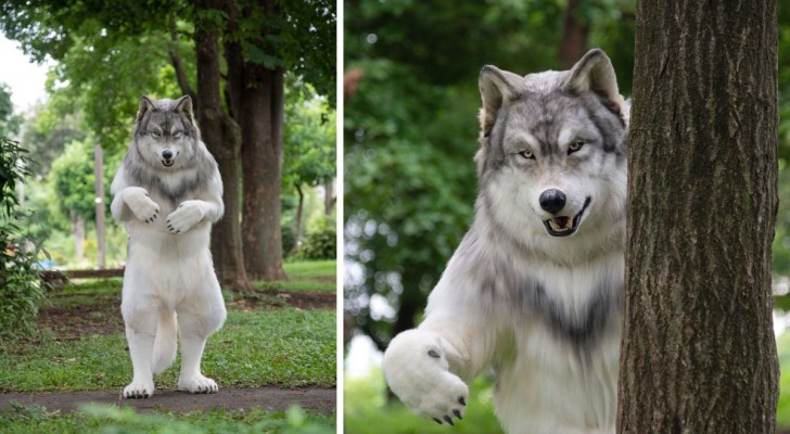 Hij geeft $23.000 uit aan een wolvenpak: "Als ik het draag, hou ik menselijke relaties op afstand"