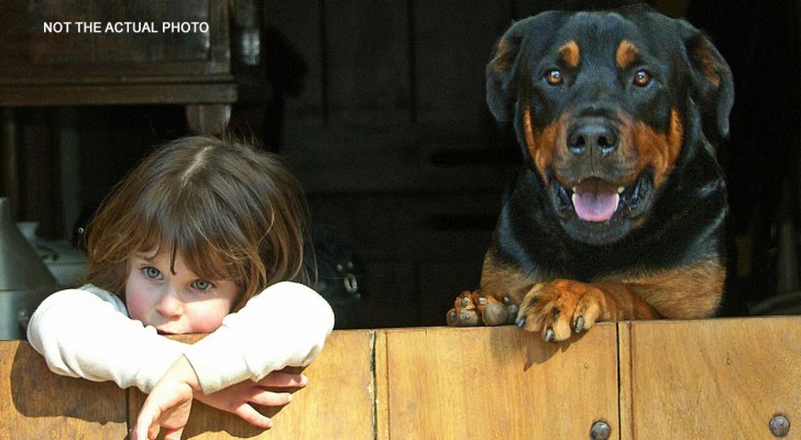 Un enfant dort avec sa chienne toutes les nuits : elle lui sauve la vie