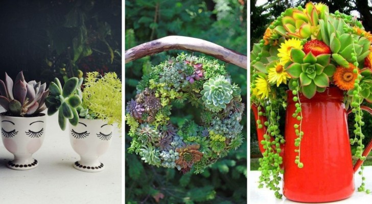 Plantes grasses pour décorer la maison : 11 idées charmantes pour des compositions créatives et étonnantes