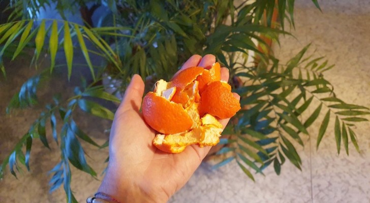 Scopri come usare le bucce di arancia per risolvere un piccolo problema comune