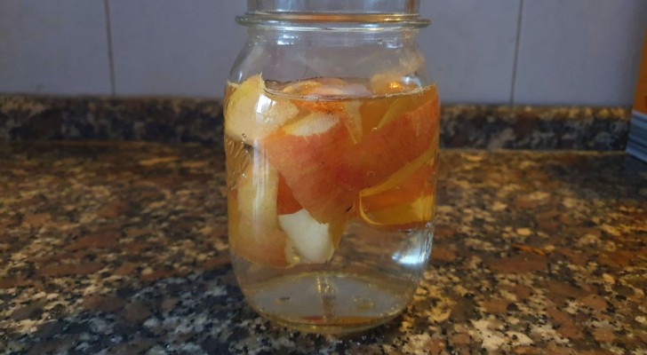 Geben Sie die Apfelschalen in das Glas und aus dem Abfall erhalten Sie ein sehr nützliches Produkt