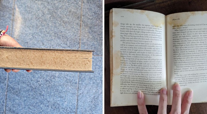 Niente più muffa e polvere sui libri: i rimedi da conoscere per preservare i tuoi tesori