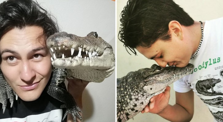 Er lebt mit einem Alligator als Haustier, der in seinem Bett schläft: 