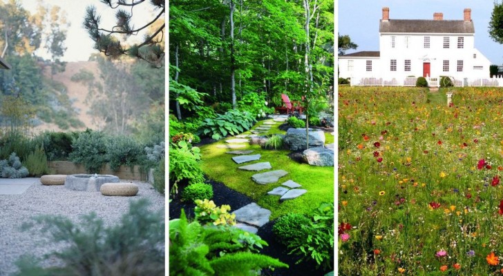 Nicht nur Rasen: 7 Alternativen, um den Boden zu bedecken und einen schönen Garten zu gestalten