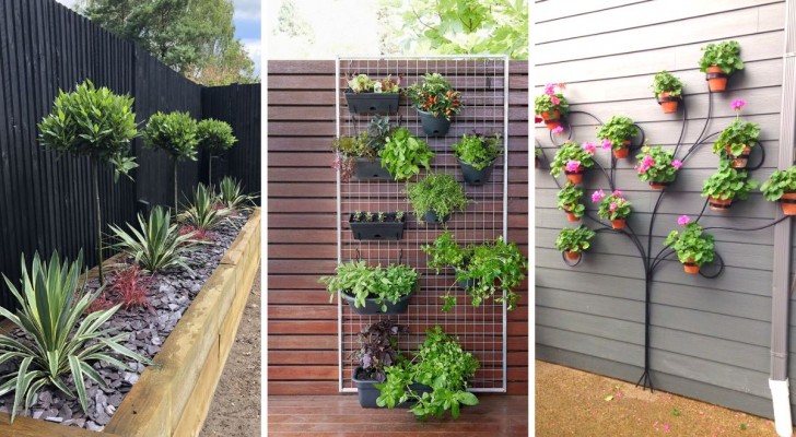Vertikaler Raum: 11 Ideen, um Platz für Pflanzen im Garten oder auf dem Balkon zu finden