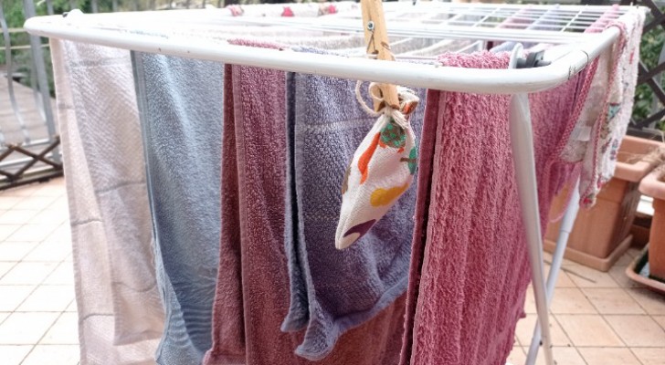 Tauben von der Wäsche zu halten, ist mit Hilfe von Gewürzen ganz einfach