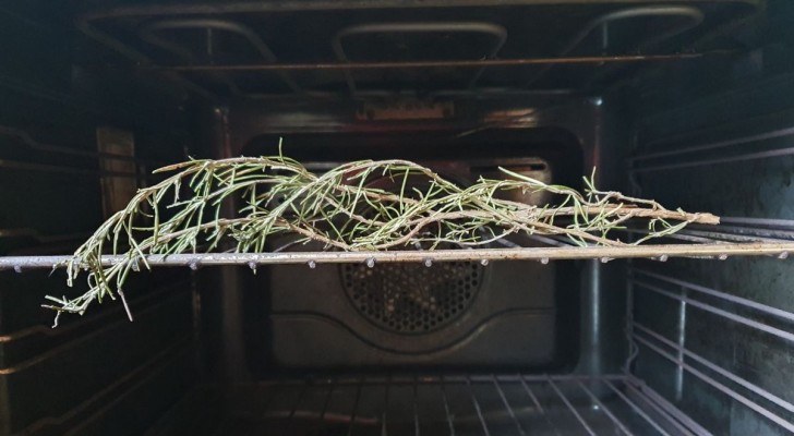 Ontdek waarom het goed is om een takje rozemarijn in de oven te leggen: een heel eenvoudig trucje voor in huis