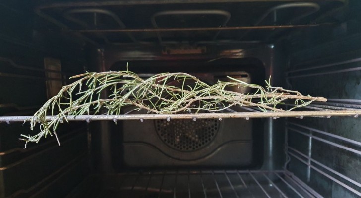 Find out why it's a good idea to put a sprig of rosemary in the oven: a very simple tip for your home