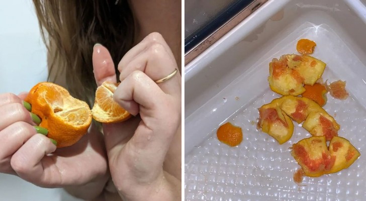 Shower orange: mangiare un'arancia in doccia per un'esperienza sensoriale unica
