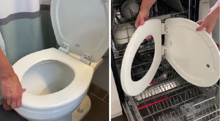 Un modo inedito di lavare la tavoletta del WC: in lavastoviglie