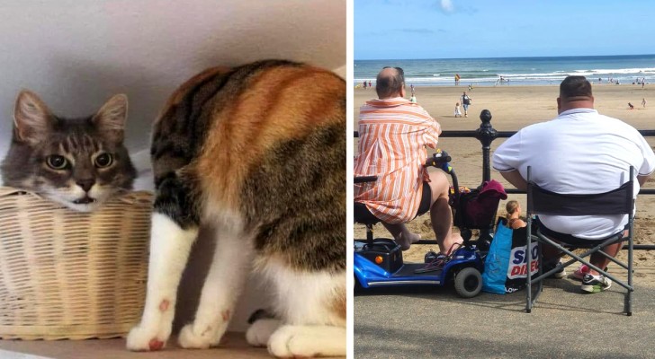 13 illusioni ottiche che metterebbero in difficoltà anche l'osservatore più attento