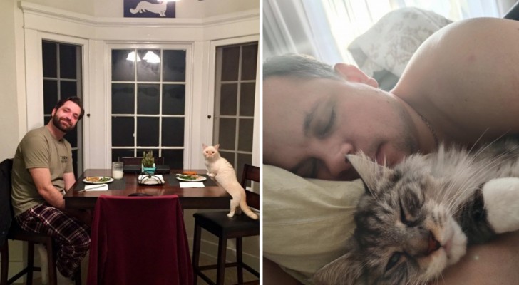 14 bilder på män som har blivit galet förälskade i sina katter