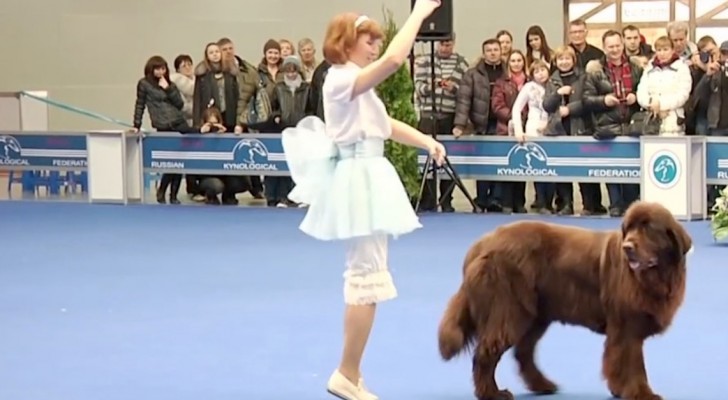 Zij begint met dansen, maar haar gigantische hond is de ster van de show!