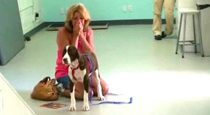 Her dog can walk againg after 3 months: the reaction of this woman? I'm in tears !
