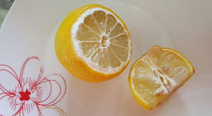 Ausgepresste oder alte Zitronen: Bevor Sie sie wegwerfen, verwenden Sie sie auf 4 nützliche Arten im Haus